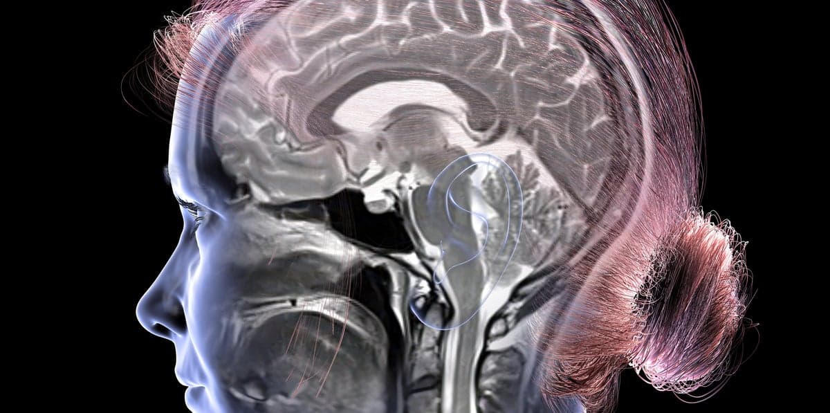 150 Minutes Weekly Exercise Keeps Brain Younger, Study Shows