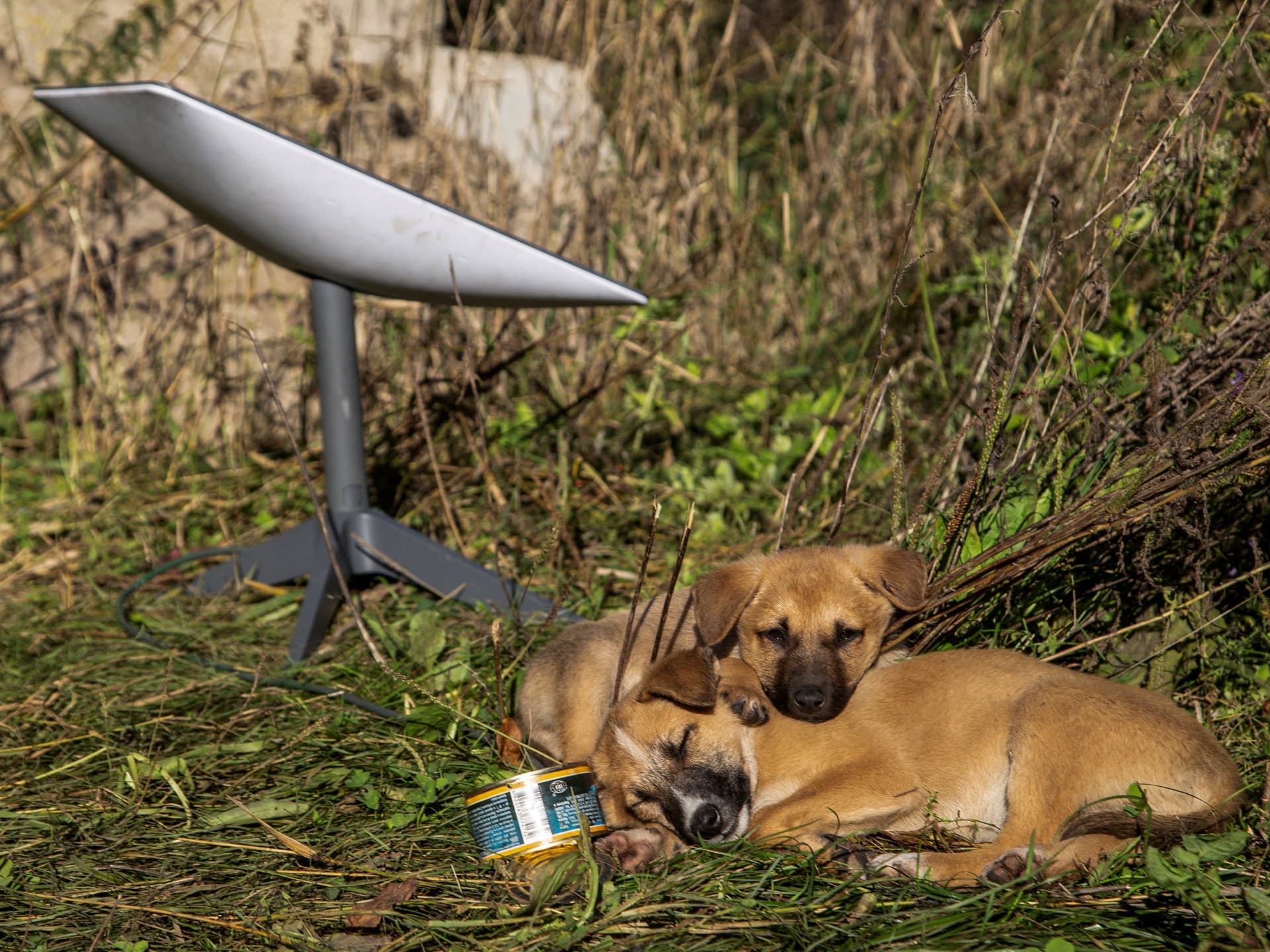 Starlink Cutoff Cripples Russian Drone Operations in Ukraine